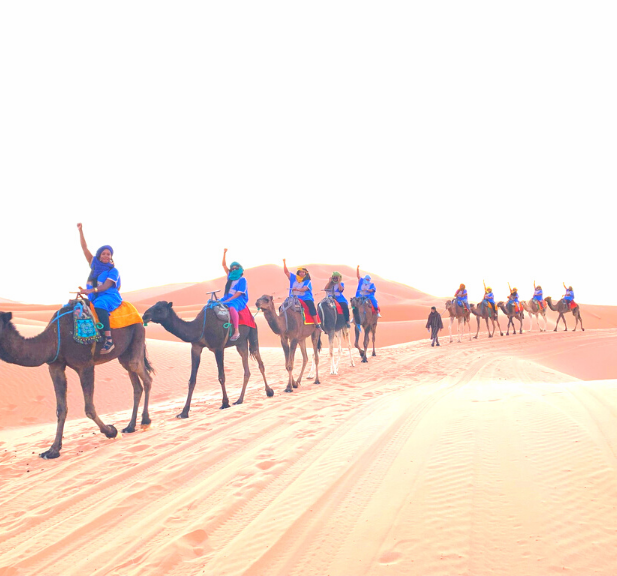 trip advisor kenya