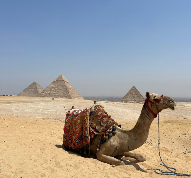 Top 5 Reasons to Travel Egypt